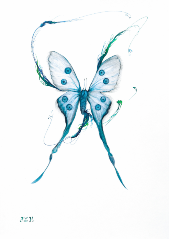 Main image Le Papillon