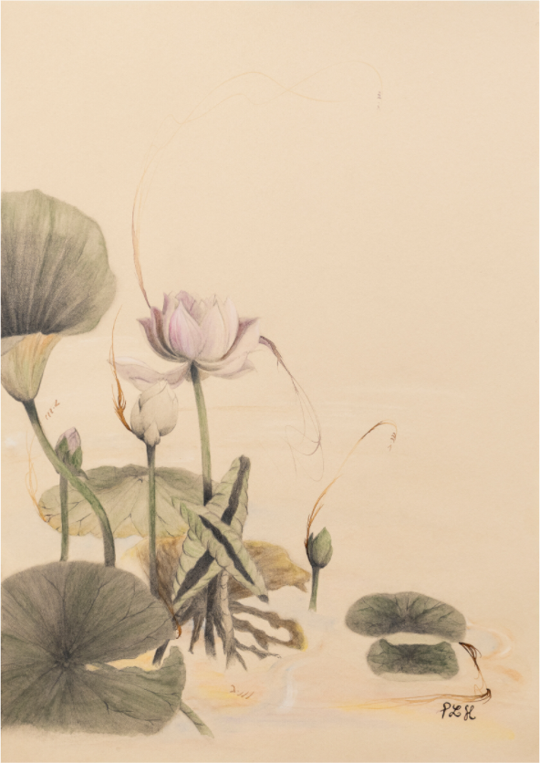 Main image Lotus